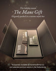 The ZIGZAG Duo set presented in premium gift packaging, the perfect luxury hair brush set.